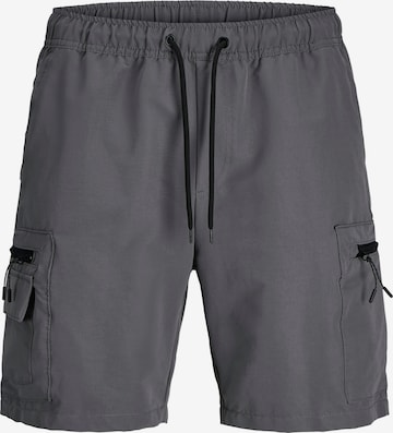 pilka JACK & JONES Laisvas Laisvo stiliaus kelnės 'JPSTJaiden Marcher': priekis