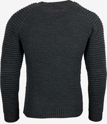 Rusty Neal Pullover in Grau