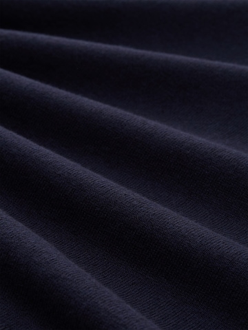TOM TAILOR Pullover in Blau