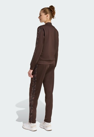ADIDAS SPORTSWEAR Tracksuit in Brown