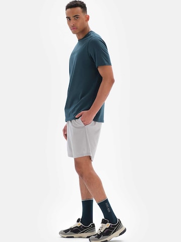 regular Pantaloni di Dagi in grigio