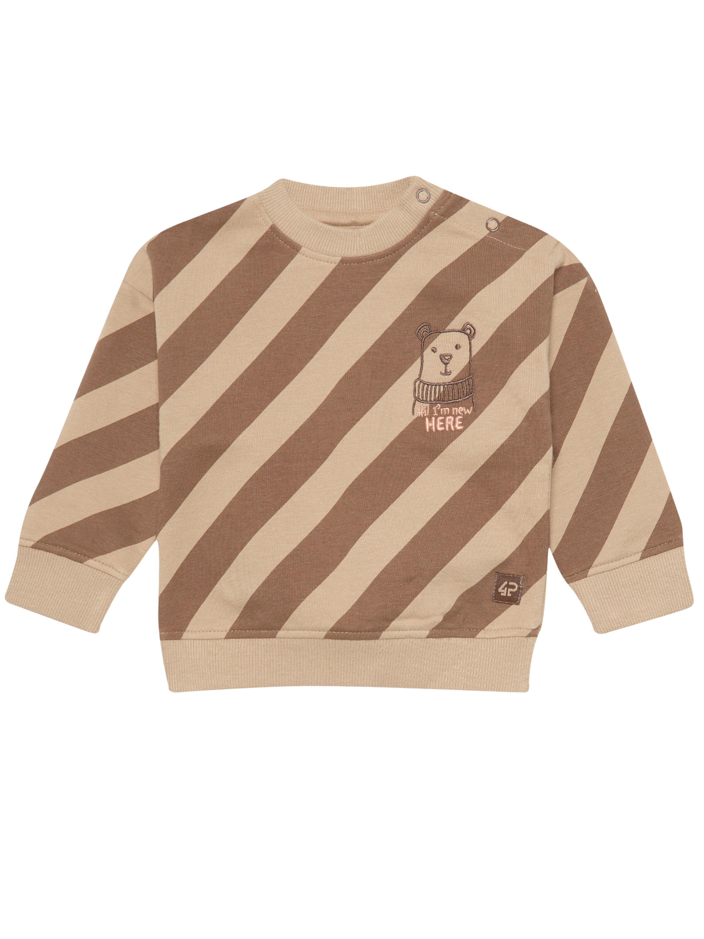 4PRESIDENT Pullover 'Zayen'‌‌‌‌‌‌ in Beige: Vorderseite