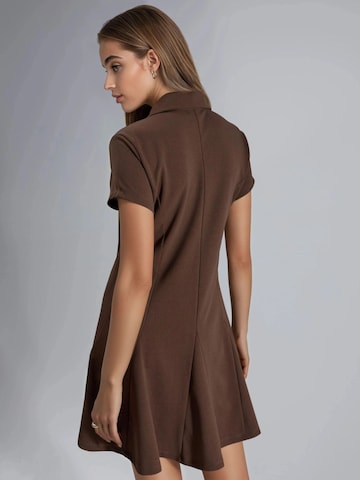 Busem Blousejurk in Bruin