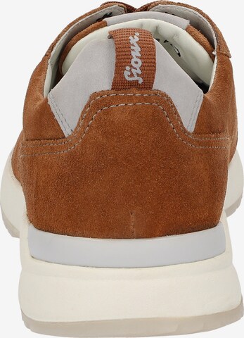 SIOUX Sneakers laag 'Giacomino-700-H' in Bruin