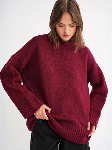 Pullover 'Pullover' di MixRay in rosso