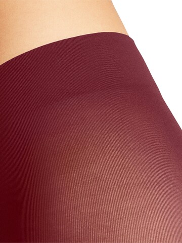 FALKE Feinstrumpfhose 'Pure Matt'‌‌‌‌‌‌‌ in Rot