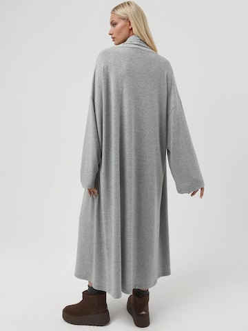 Cardigan 'Strickjacken' Busem en gris