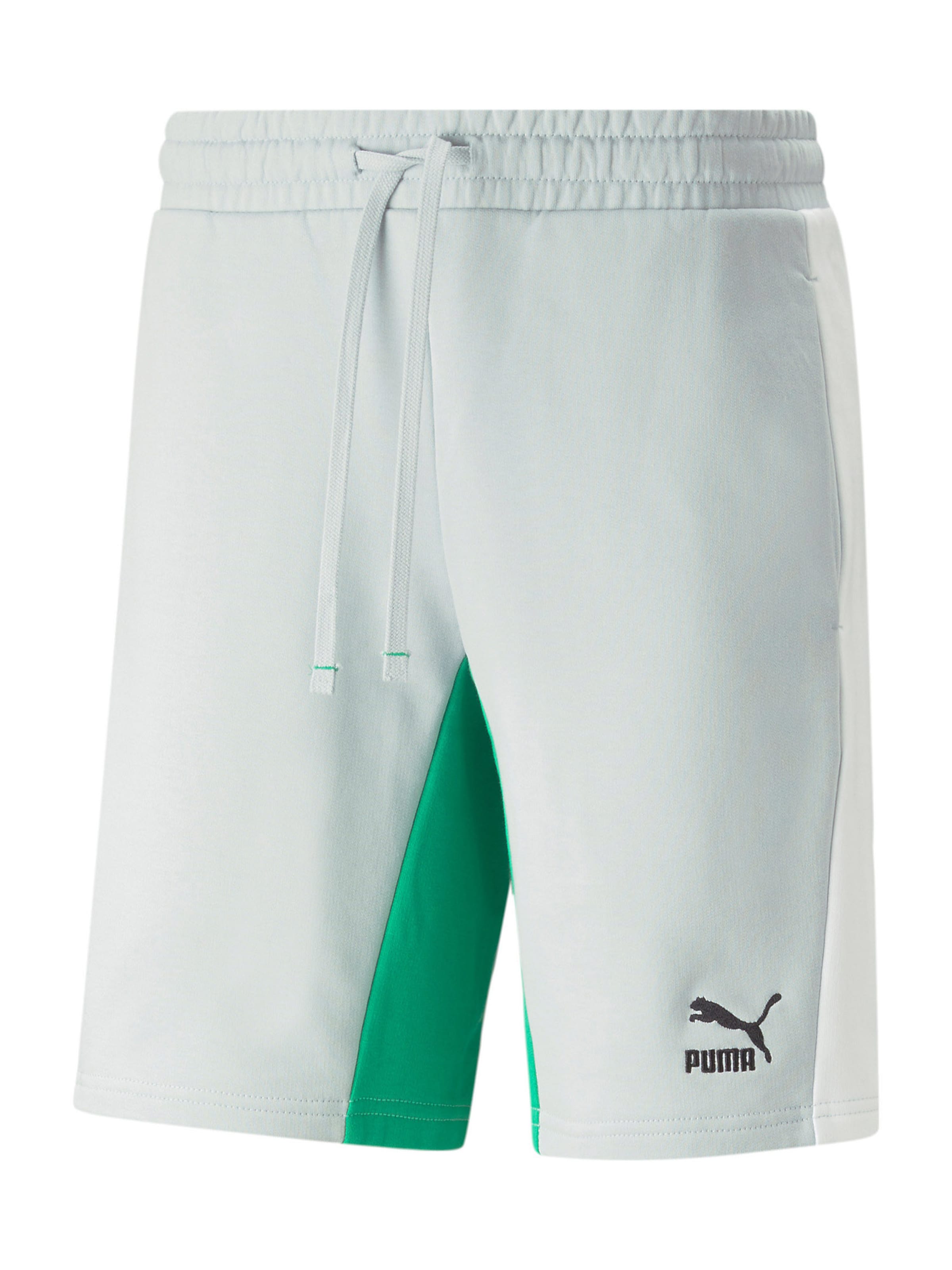 PUMA Regular Shorts in Grau: Vorderseite