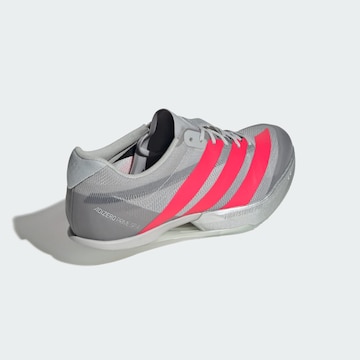 ADIDAS PERFORMANCE Loopschoen 'Adizero Prime SP 4' in Grijs