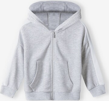 Sweat MINOTI en gris : devant