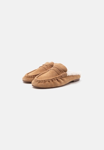 STEVE MADDEN Klapki 'Rafe-F' w kolorze brązowy