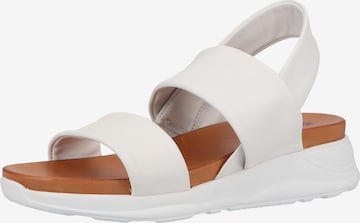 ILC Strap Sandals in White: front