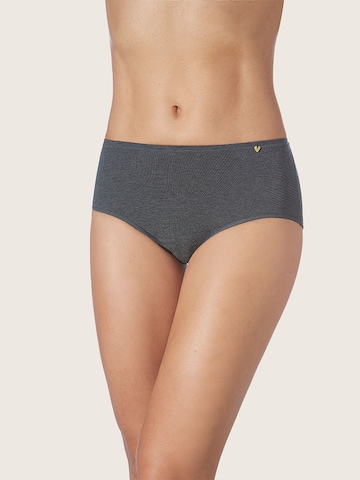 zd ZERO DEFECTS Boyshorts 'Atenea soy fiber high waist panty' in Grey: front