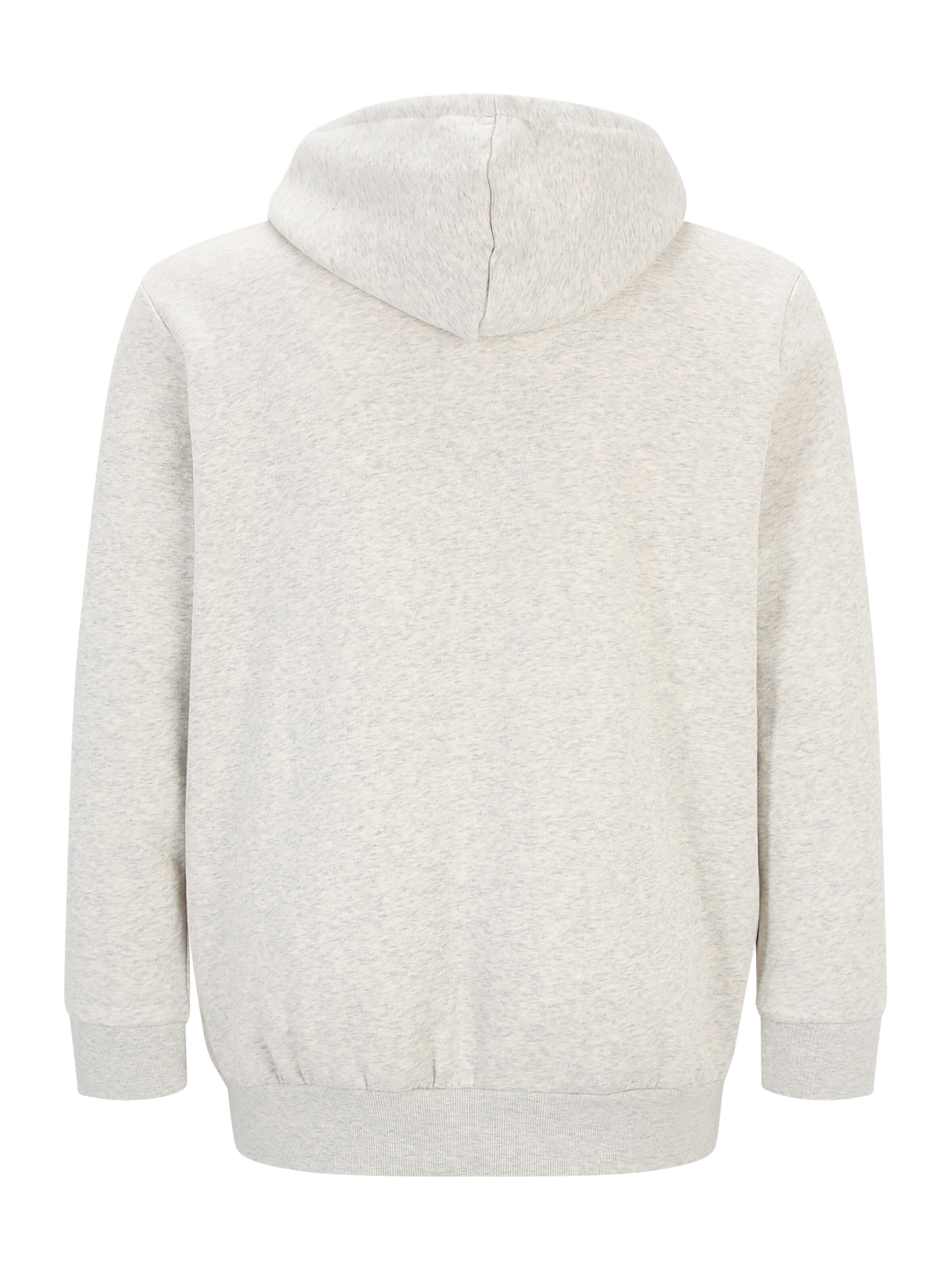 Jack & Jones Plus Sweatshirt in White