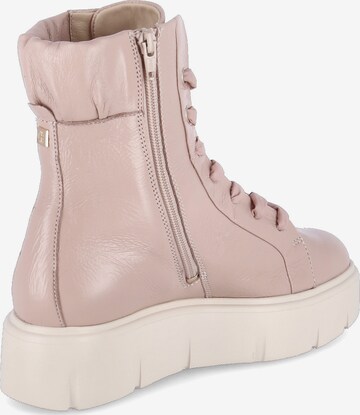 Högl Schnürstiefelette 'Bernie' in Pink