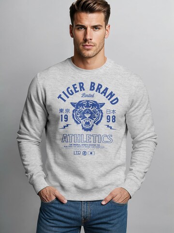 Neverless Sweatshirt 'Tiger' in Grey: front