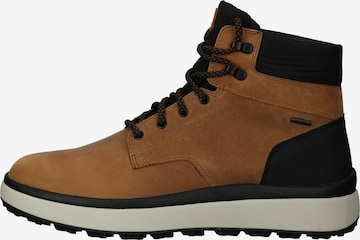 GEOX Veterboots in Bruin