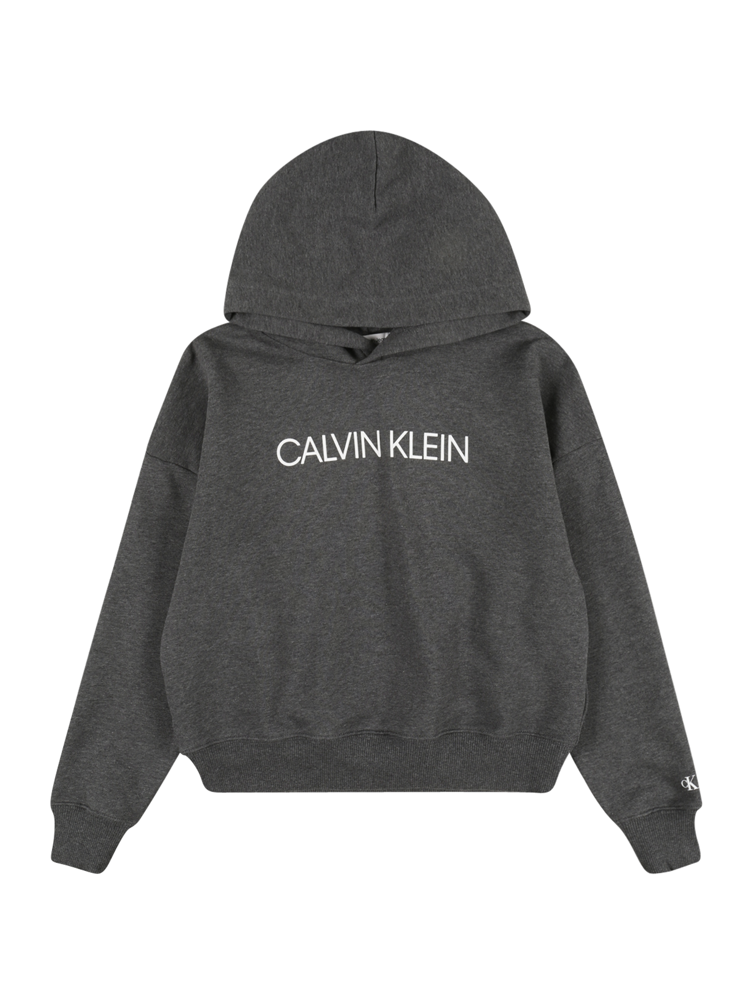 Bambini Ragazza (taglie 140-176) Calvin Klein Jeans Felpa Institutional in Grigio Scuro Bambini Ragazza (taglie 140-176) Calvin Klein Jeans Felpa Institutional in Grigio Scuro
