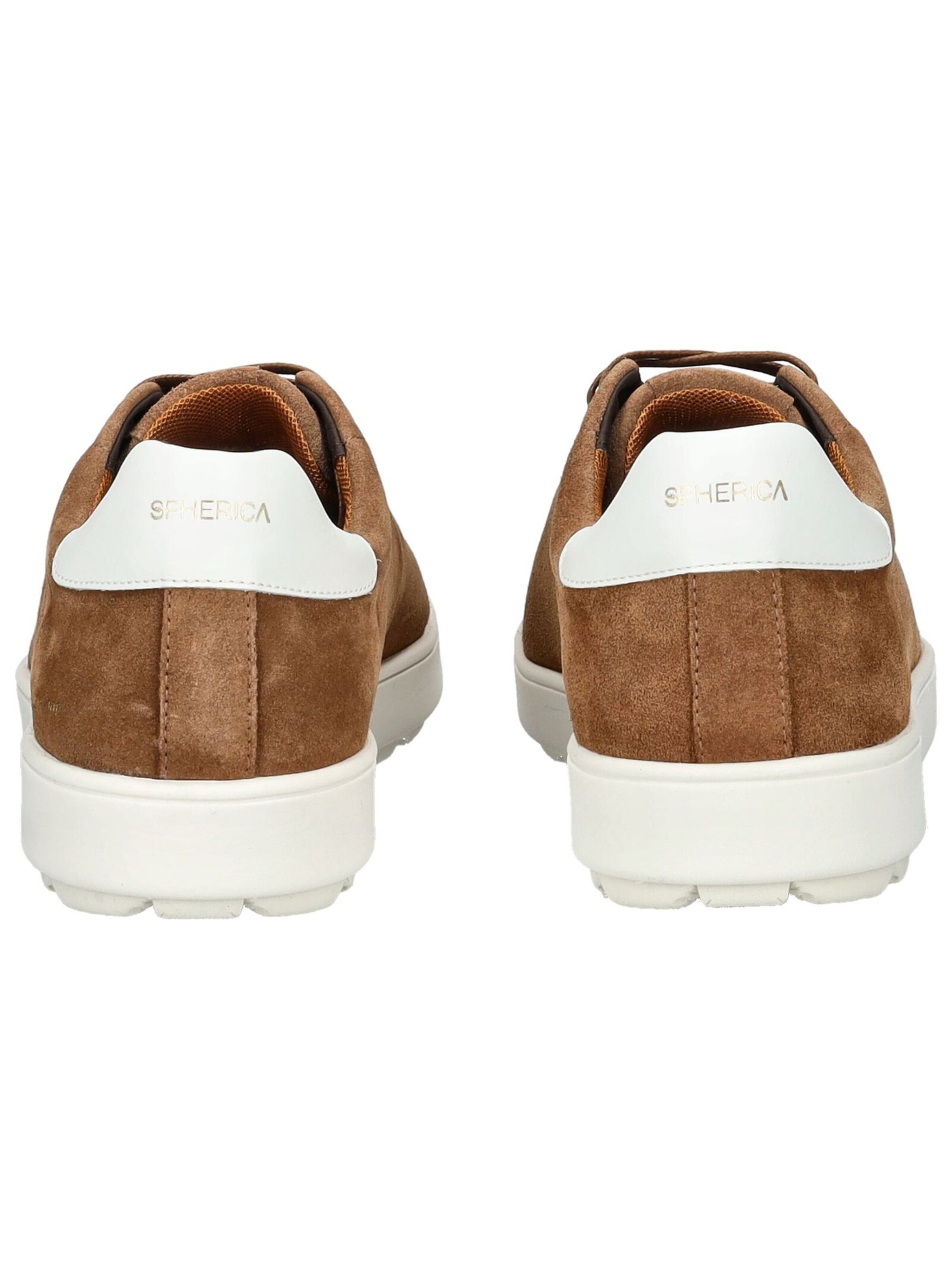 Sneaker bassa di GEOX in marrone