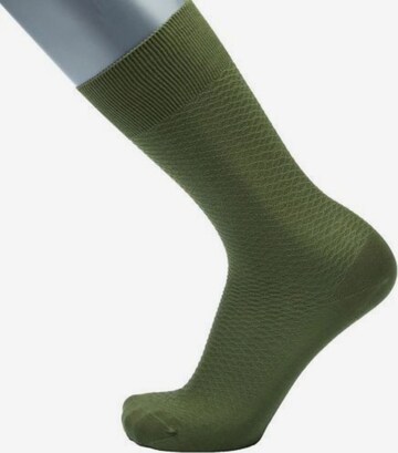 BGents Socks in Green