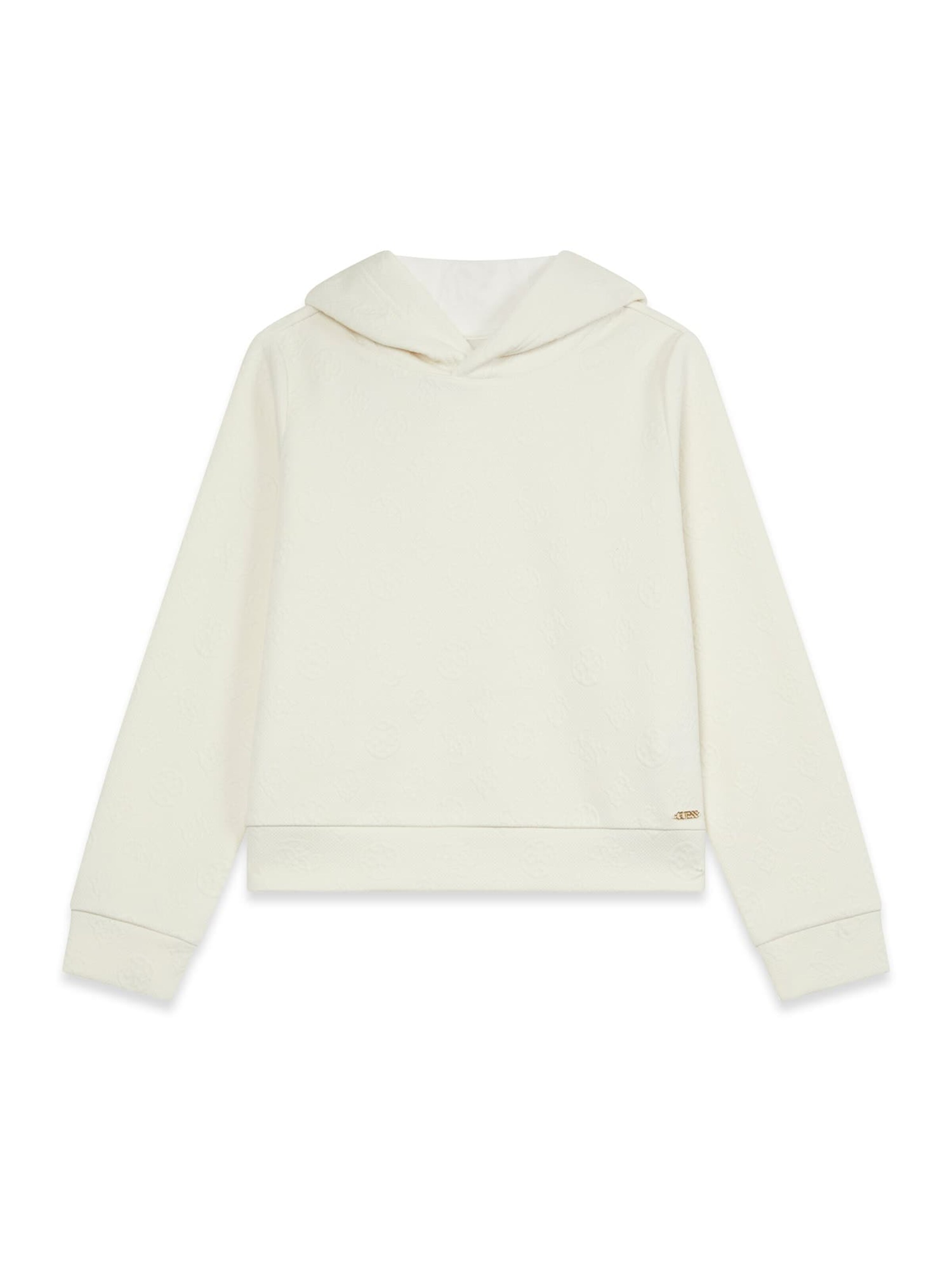 GUESS Sweatshirt in Beige: Vorderseite