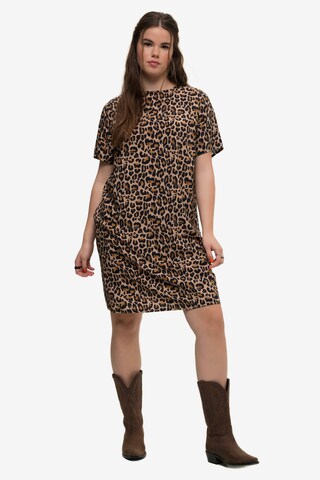 Studio Untold Dress in Brown: front