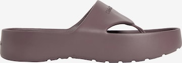 Tongs 'Dorita' Calvin Klein en gris : devant