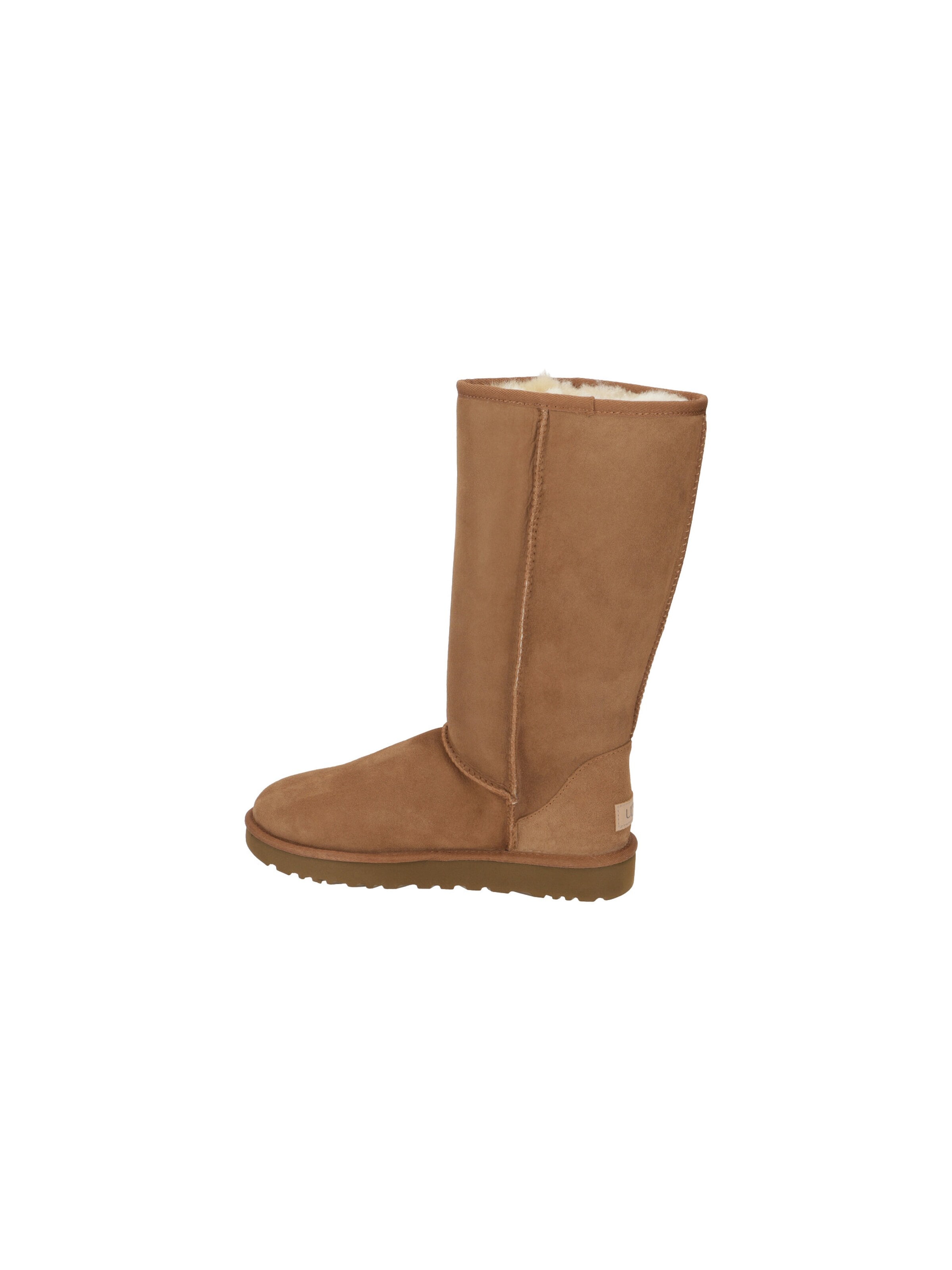 UGG Boots '1016224'‌‌‌‌‌‌‌‌ in Braun: Vorderseite