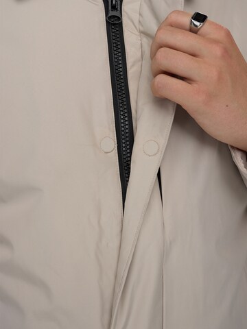 Dxnmxrk Winter jacket 'DXFarmand' in Beige