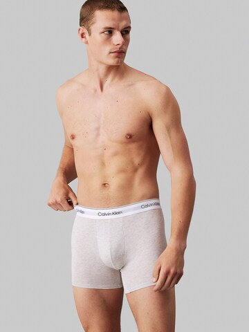 Calvin Klein Underwear Boxershorts in Gemengde kleuren: voorkant