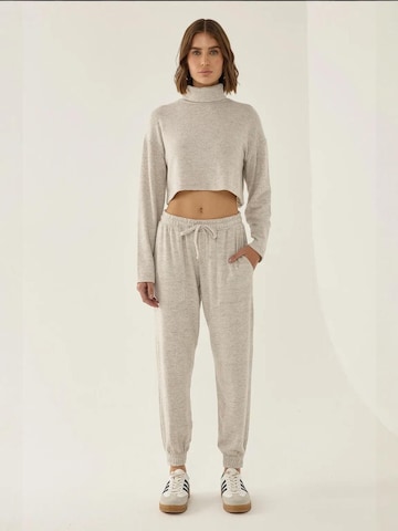 Pullover di Hiccup in grigio