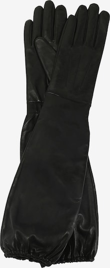 Kazar Fingerhandschuhe in schwarz, Produktansicht