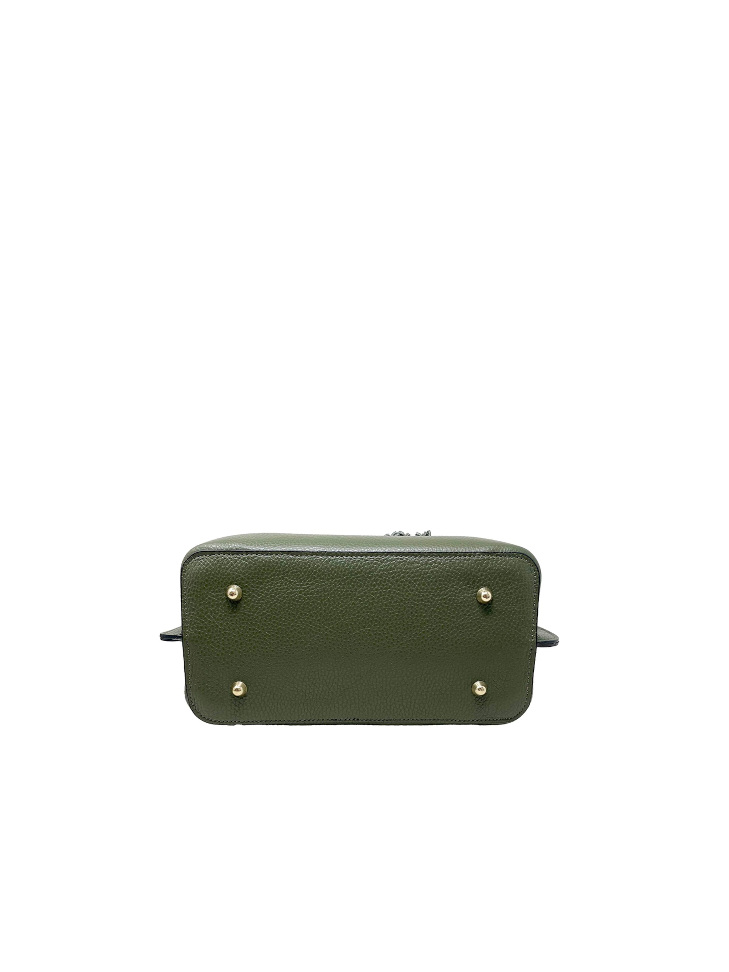 CHICCA BORSE Handbag in Green
