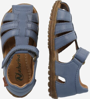 Chaussures ouvertes 'See' NATURINO en bleu