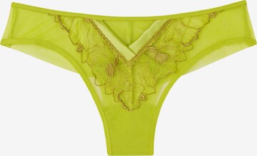 INTIMISSIMI Panty 'SWEET LIKE SUGAR' in Green: front