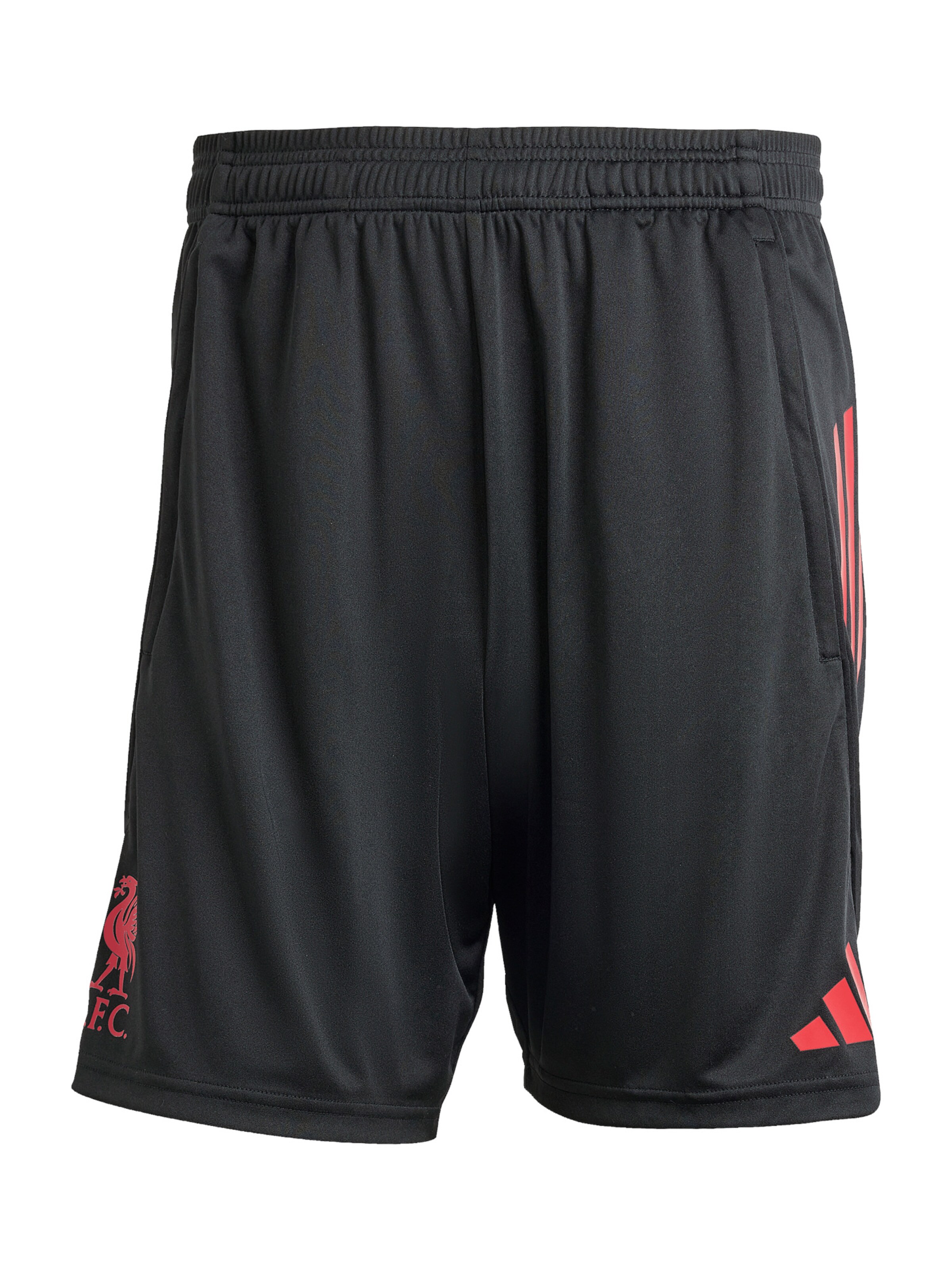 Regular Pantalon de sport 'FC Liverpool Competition 2025/2026' ADIDAS PERFORMANCE en noir : devant