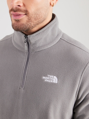 THE NORTH FACE Спортивная кофта 'GLACIER' в Серый