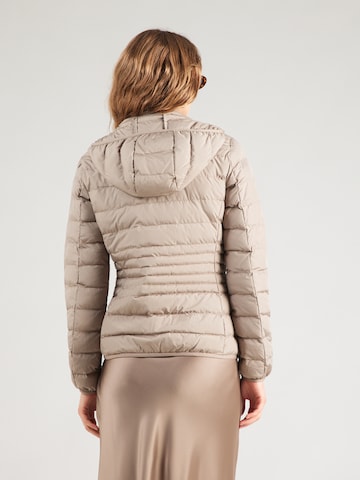 EA7 Emporio Armani Зимно яке в сиво