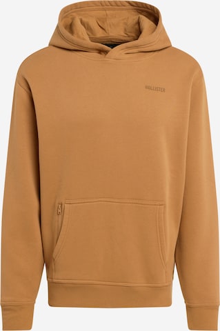 HOLLISTER Sweatshirt in Bruin: voorkant
