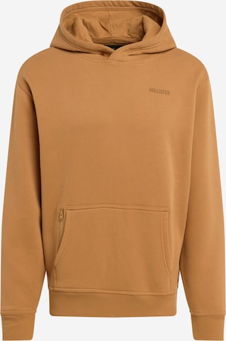 HOLLISTER Sweatshirt in Braun: predná strana