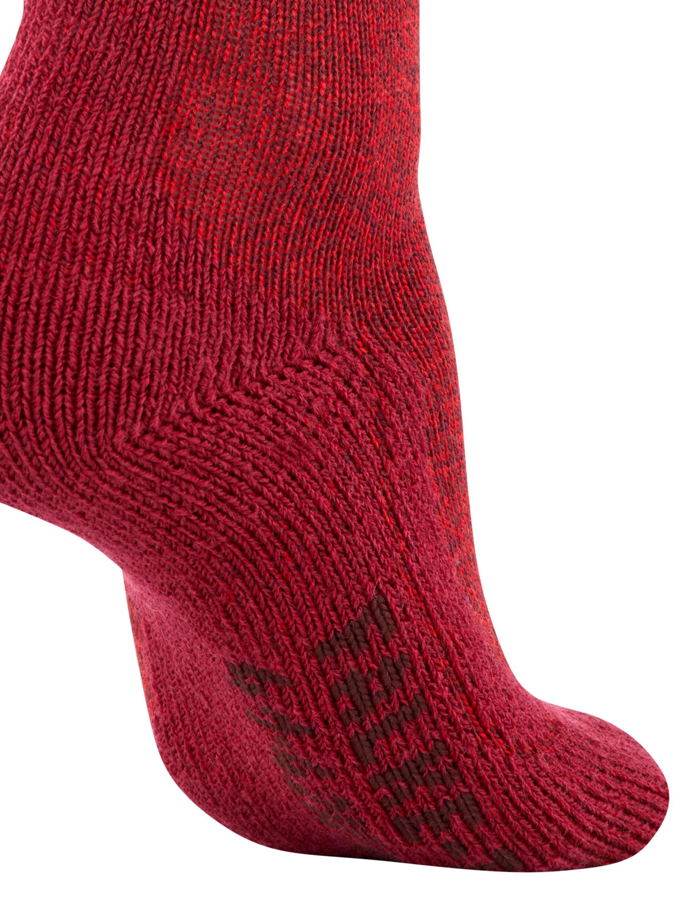 FALKE Athletic Socks 'TK1 Adventure Wool' in Red