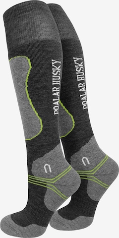 Polar Husky Knee High Socks in Grey