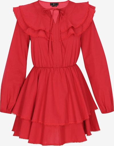 faina Kokteilové šaty - červená, Produkt