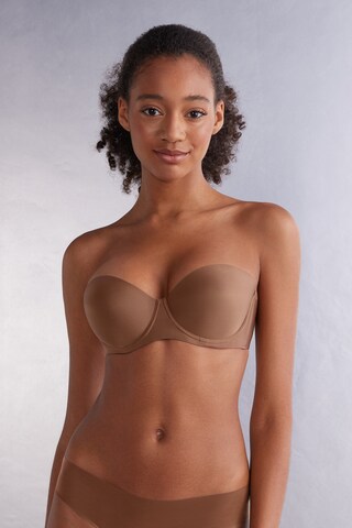 INTIMISSIMI Balconette BH in Braun: Vorderseite