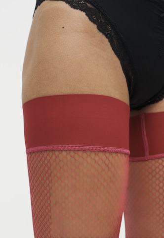 Hunkemöller Strømpe med holder i pink