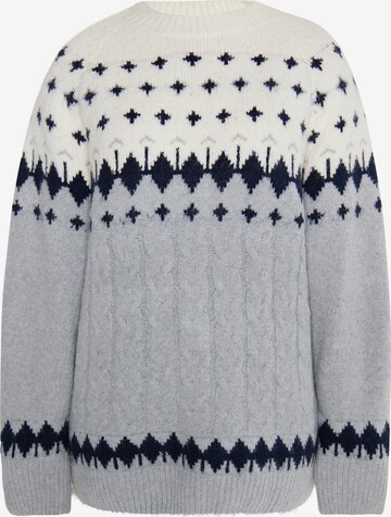 Pull-over usha BLUE LABEL en gris : devant