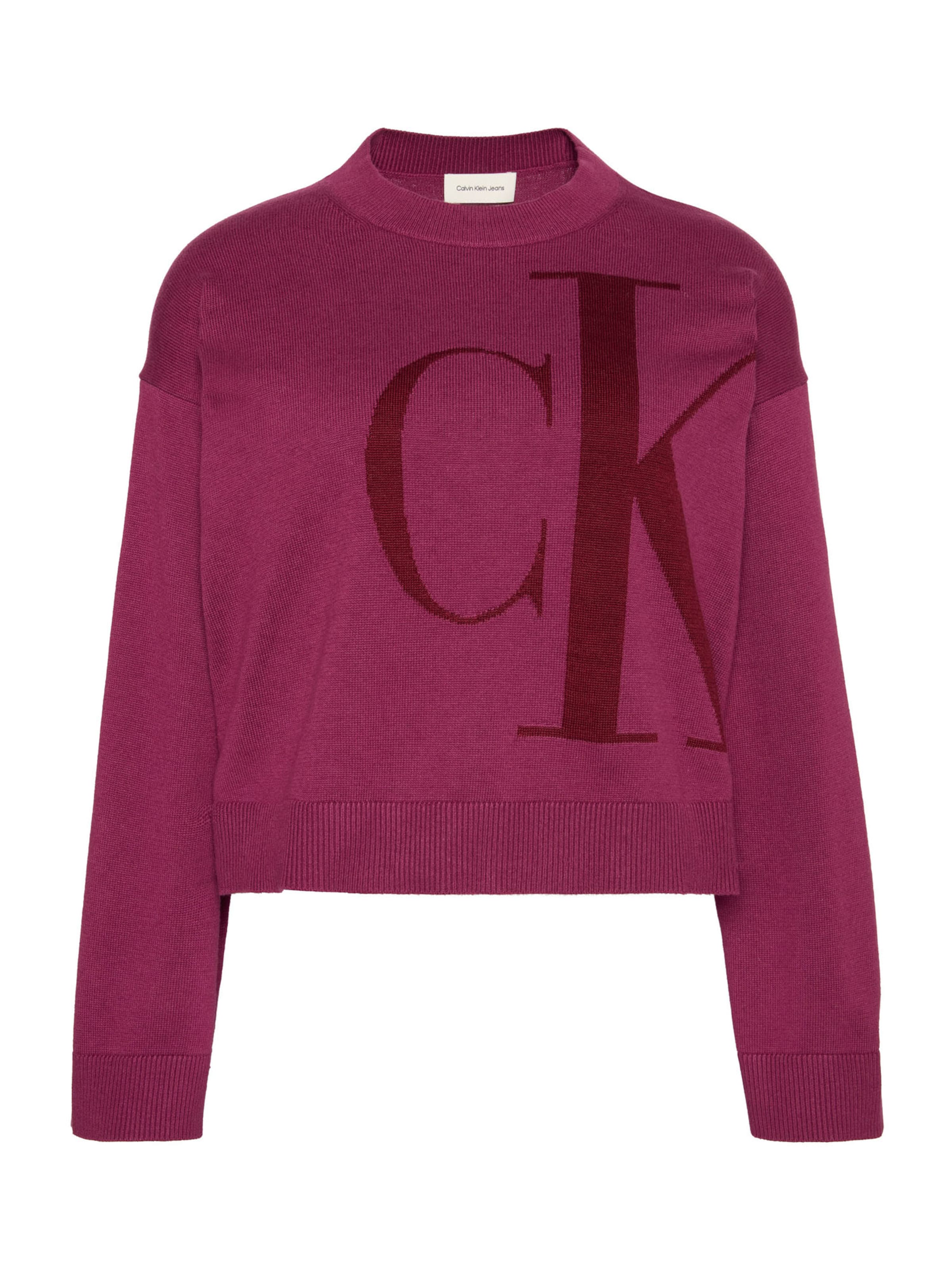 Calvin Klein Jeans Sweater in Purple: front