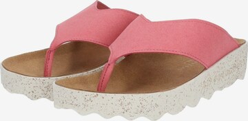 Asportuguesas Pantolette in Pink