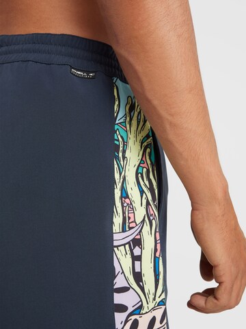 O'NEILL Board Shorts 'Coast Ocean' in Blue