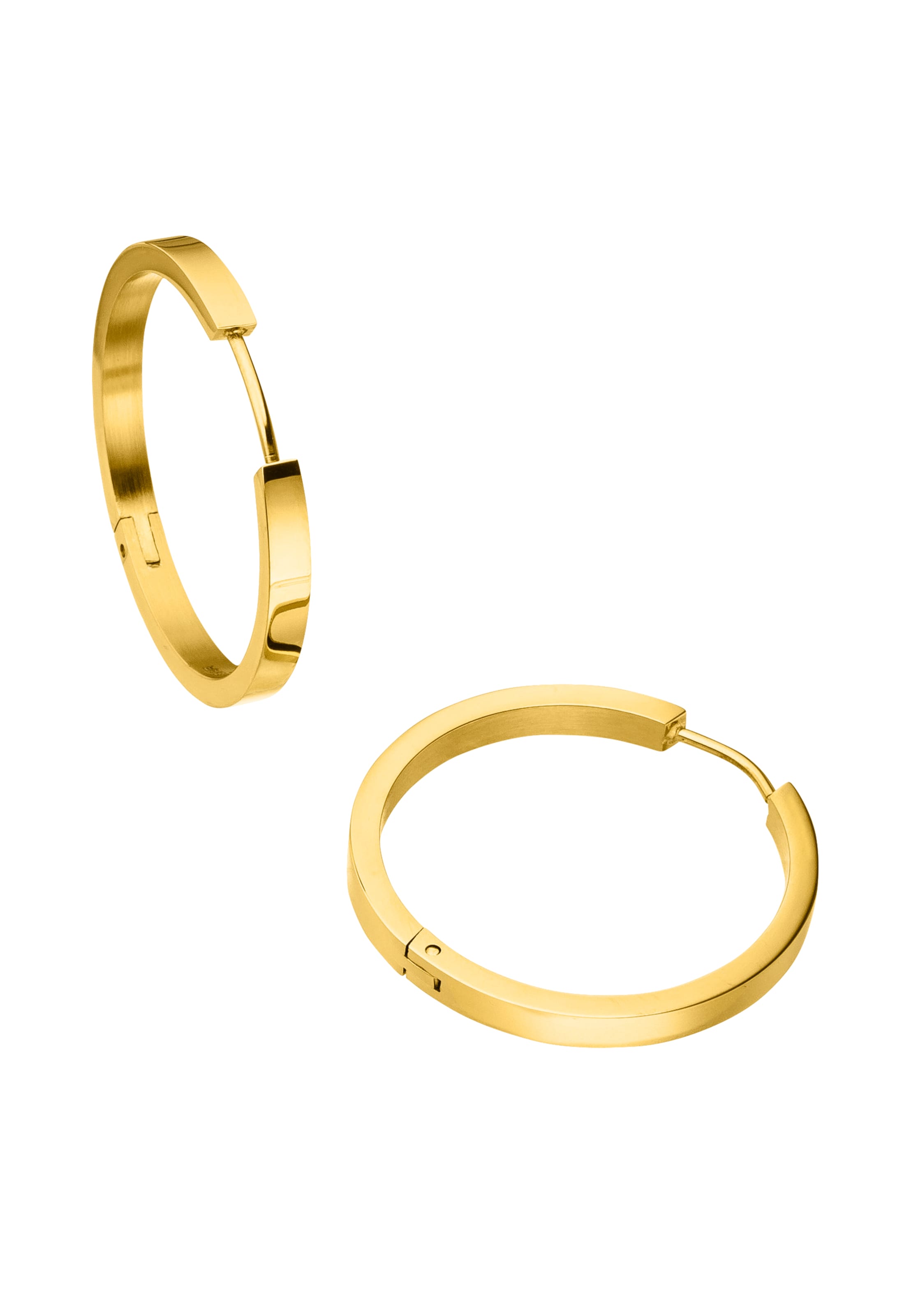 Steelwear Earrings in Gold